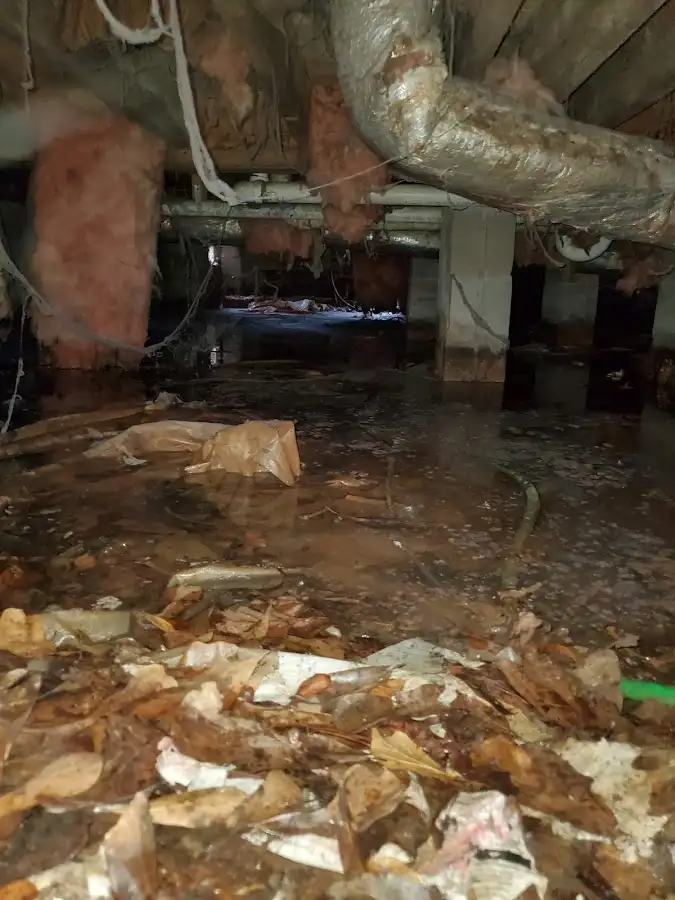 Crawl space flood assessment for Leak Detection & Repair in Exeter